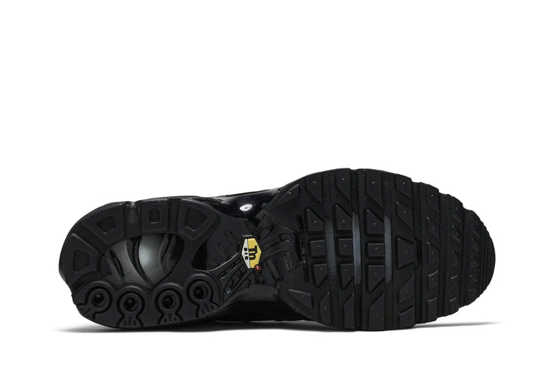 Nike Air Max Plus 'Triple Black'